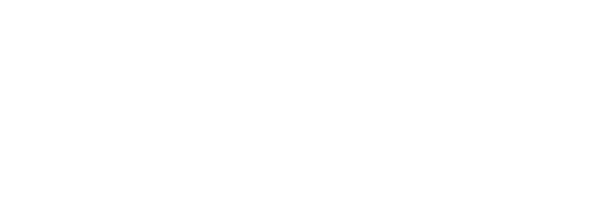 Virage Group