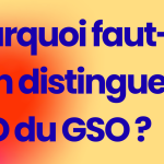 Pourquoi faut-il bien distinguer le GEO du GSO ?