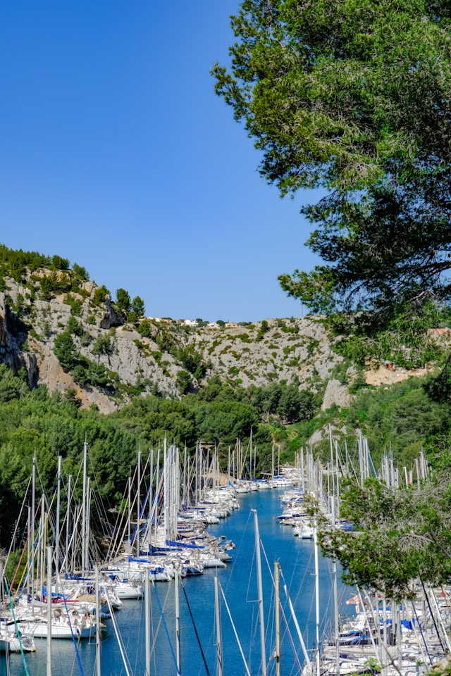 Consultant SEA Marseillais / Freelance SEA Marseille